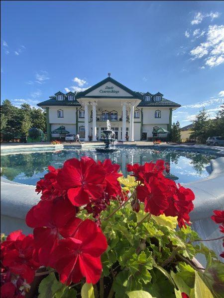 Dwor Czarneckiego Hotel Porosły Buitenkant foto